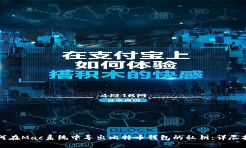 如何在Mac系统中导出比特币钱包的私钥：详尽指南