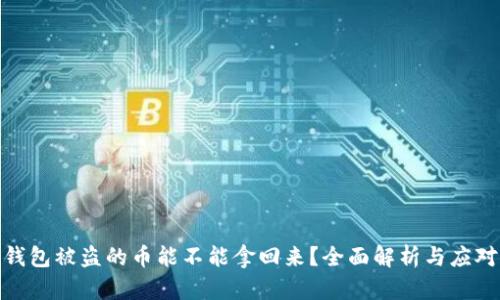 数字钱包被盗的币能不能拿回来？全面解析与应对策略