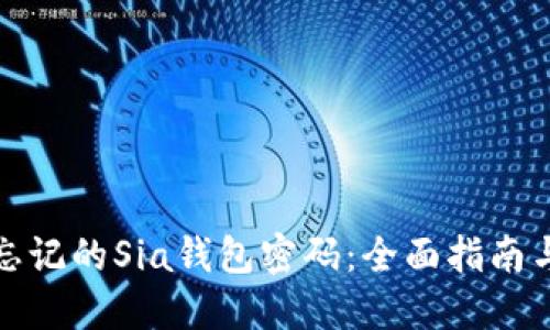 如何找回忘记的Sia钱包密码：全面指南与解决方案