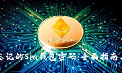 如何找回忘记的Sia钱包密码：全面指南与解决方案
