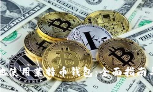 如何安全地使用莱特币钱包：全面指南与最佳实践