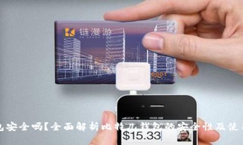 比特儿钱包安全吗？全面解析比特儿钱包的安全性及使用注意事项