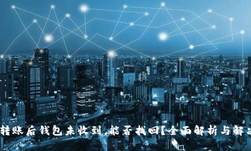 USDT转账后钱包未收到，能否找回？全面解析与解决方案