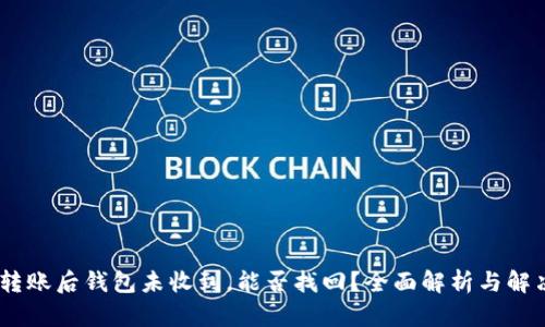 USDT转账后钱包未收到，能否找回？全面解析与解决方案