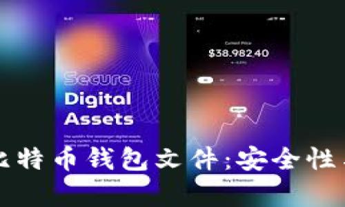 如何有效加密比特币钱包文件：安全性与隐私保护指南