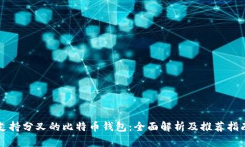 支持分叉的比特币钱包：全面解析及推荐指南