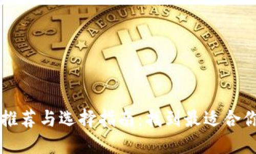 比太币钱包推荐与选择指南：找到最适合你的钱包类型