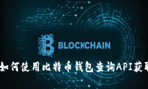 全面解析：如何使用比特币钱包查询API获取实时数据